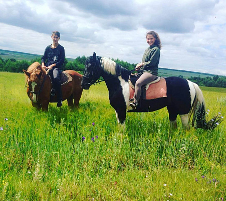 Конная прогулка для двоих в Набережных Челнах. Подарочные сертификаты Ultra Подарки. Купить оригинальный подарок или подарочный сертификат на Конная прогулка для двоих в Набережных Челнах. Сервис UltraPodarki.ru 8-800-505-9530. Катание на лошадях, Прогулка на лошади, Прогулка на лошадях для двоих, Конная прогулка для двоих, конный клуб, Конный клуб ВерхомТАТ, конная прогулка, конная прогулка в Набережных Челнах