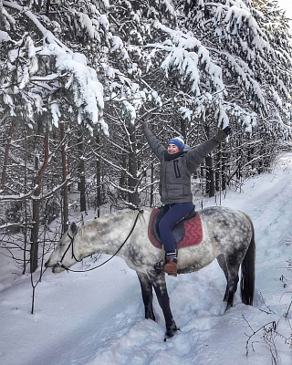 Конная прогулка в Набережных Челнах. Подарочные сертификаты Ultra Подарки. Купить оригинальный подарок или подарочный сертификат на Конная прогулка в Набережных Челнах. Сервис UltraPodarki.ru 8-800-505-9530. Катание на лошадях, Прогулка на лошади, Прогулка на лошадях для двоих, Конная прогулка, конный клуб, Конный клуб ВерхомТАТ, конная прогулка, конная прогулка в Набережных Челнах
