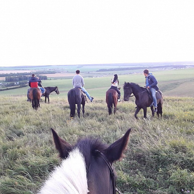 Конная прогулка в Набережных Челнах. Подарочные сертификаты Ultra Подарки. Купить оригинальный подарок или подарочный сертификат на Конная прогулка в Набережных Челнах. Сервис UltraPodarki.ru 8-800-505-9530. Катание на лошадях, Прогулка на лошади, Прогулка на лошадях для двоих, Конная прогулка, конный клуб, Конный клуб ВерхомТАТ, конная прогулка, конная прогулка в Набережных Челнах