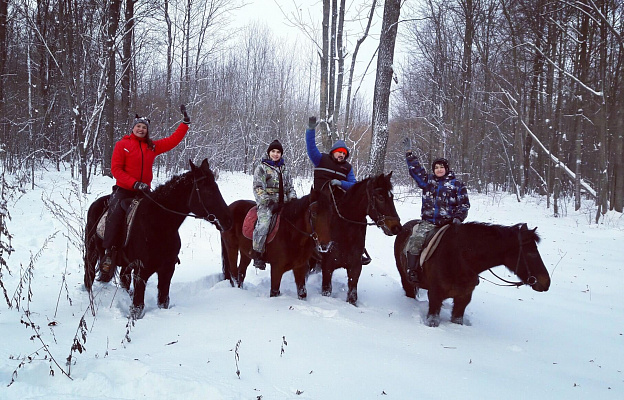 Конная прогулка в Набережных Челнах. Подарочные сертификаты Ultra Подарки. Купить оригинальный подарок или подарочный сертификат на Конная прогулка в Набережных Челнах. Сервис UltraPodarki.ru 8-800-505-9530. Катание на лошадях, Прогулка на лошади, Прогулка на лошадях для двоих, Конная прогулка, конный клуб, Конный клуб ВерхомТАТ, конная прогулка, конная прогулка в Набережных Челнах