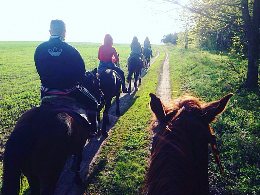 Конная прогулка в Набережных Челнах. Подарочные сертификаты Ultra Подарки. Купить оригинальный подарок или подарочный сертификат на Конная прогулка в Набережных Челнах. Сервис UltraPodarki.ru 8-800-505-9530. Катание на лошадях, Прогулка на лошади, Прогулка на лошадях для двоих, Конная прогулка, конный клуб, Конный клуб ВерхомТАТ, конная прогулка, конная прогулка в Набережных Челнах