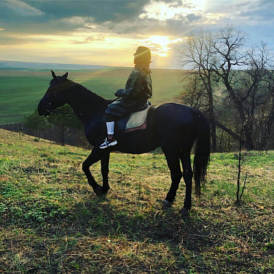 Конная прогулка в Набережных Челнах. Подарочные сертификаты Ultra Подарки. Купить оригинальный подарок или подарочный сертификат на Конная прогулка в Набережных Челнах. Сервис UltraPodarki.ru 8-800-505-9530. Катание на лошадях, Прогулка на лошади, Прогулка на лошадях для двоих, Конная прогулка, конный клуб, Конный клуб ВерхомТАТ, конная прогулка, конная прогулка в Набережных Челнах