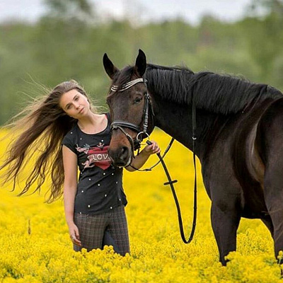 Конная прогулка в Набережных Челнах. Подарочные сертификаты Ultra Подарки. Купить оригинальный подарок или подарочный сертификат на Конная прогулка в Набережных Челнах. Сервис UltraPodarki.ru 8-800-505-9530. Катание на лошадях, Прогулка на лошади, Прогулка на лошадях для двоих, Конная прогулка, конный клуб, Конный клуб ВерхомТАТ, конная прогулка, конная прогулка в Набережных Челнах