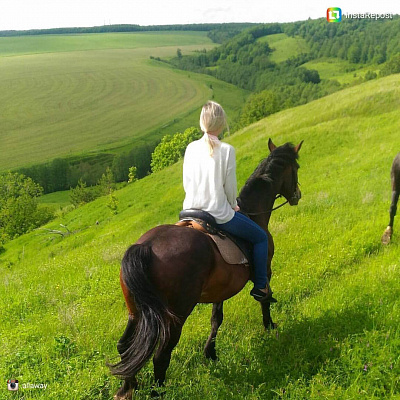 Конная прогулка для двоих в Набережных Челнах. Подарочные сертификаты Ultra Подарки. Купить оригинальный подарок или подарочный сертификат на Конная прогулка для двоих в Набережных Челнах. Сервис UltraPodarki.ru 8-800-505-9530. Катание на лошадях, Прогулка на лошади, Прогулка на лошадях для двоих, Конная прогулка для двоих, конный клуб, Конный клуб ВерхомТАТ, конная прогулка, конная прогулка в Набережных Челнах