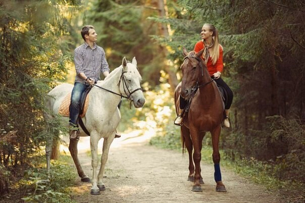 Конная прогулка для двоих в Набережных Челнах. Подарочные сертификаты Ultra Подарки. Купить оригинальный подарок или подарочный сертификат на Конная прогулка для двоих в Набережных Челнах. Сервис UltraPodarki.ru 8-800-505-9530. Катание на лошадях, Прогулка на лошади, Прогулка на лошадях для двоих, Конная прогулка для двоих, конный клуб, Конный клуб ВерхомТАТ, конная прогулка, конная прогулка в Набережных Челнах