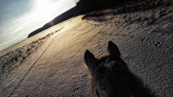 Конная прогулка для двоих в Набережных Челнах. Подарочные сертификаты Ultra Подарки. Купить оригинальный подарок или подарочный сертификат на Конная прогулка для двоих в Набережных Челнах. Сервис UltraPodarki.ru 8-800-505-9530. Катание на лошадях, Прогулка на лошади, Прогулка на лошадях для двоих, Конная прогулка для двоих, конный клуб, Конный клуб ВерхомТАТ, конная прогулка, конная прогулка в Набережных Челнах