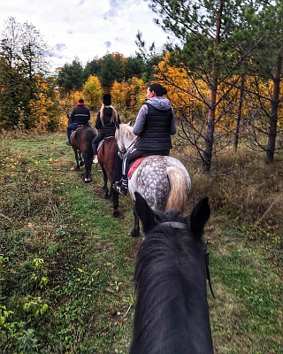Конная прогулка в Набережных Челнах. Подарочные сертификаты Ultra Подарки. Купить оригинальный подарок или подарочный сертификат на Конная прогулка в Набережных Челнах. Сервис UltraPodarki.ru 8-800-505-9530. Катание на лошадях, Прогулка на лошади, Прогулка на лошадях для двоих, Конная прогулка, конный клуб, Конный клуб ВерхомТАТ, конная прогулка, конная прогулка в Набережных Челнах