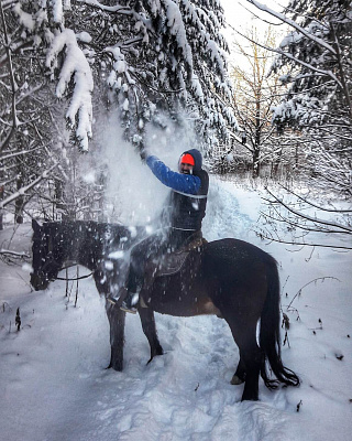 Конная прогулка для двоих в Набережных Челнах. Подарочные сертификаты Ultra Подарки. Купить оригинальный подарок или подарочный сертификат на Конная прогулка для двоих в Набережных Челнах. Сервис UltraPodarki.ru 8-800-505-9530. Катание на лошадях, Прогулка на лошади, Прогулка на лошадях для двоих, Конная прогулка для двоих, конный клуб, Конный клуб ВерхомТАТ, конная прогулка, конная прогулка в Набережных Челнах