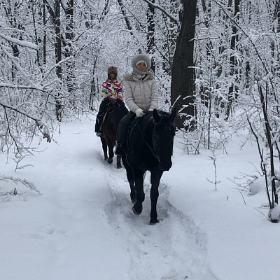 Конная прогулка в Набережных Челнах. Подарочные сертификаты Ultra Подарки. Купить оригинальный подарок или подарочный сертификат на Конная прогулка в Набережных Челнах. Сервис UltraPodarki.ru 8-800-505-9530. Катание на лошадях, Прогулка на лошади, Прогулка на лошадях для двоих, Конная прогулка, конный клуб, Конный клуб ВерхомТАТ, конная прогулка, конная прогулка в Набережных Челнах