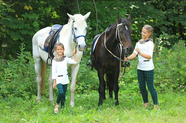 Конная прогулка в Набережных Челнах. Подарочные сертификаты Ultra Подарки. Купить оригинальный подарок или подарочный сертификат на Конная прогулка в Набережных Челнах. Сервис UltraPodarki.ru 8-800-505-9530. Катание на лошадях, Прогулка на лошади, Прогулка на лошадях для двоих, Конная прогулка, конный клуб, Конный клуб ВерхомТАТ, конная прогулка, конная прогулка в Набережных Челнах