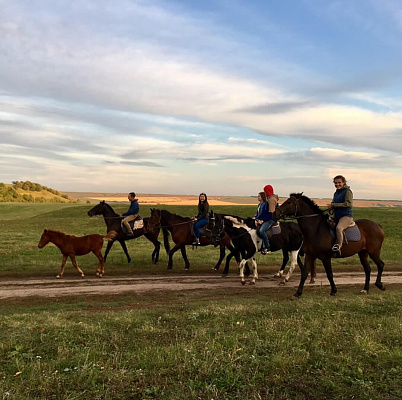 Конная прогулка в Набережных Челнах. Подарочные сертификаты Ultra Подарки. Купить оригинальный подарок или подарочный сертификат на Конная прогулка в Набережных Челнах. Сервис UltraPodarki.ru 8-800-505-9530. Катание на лошадях, Прогулка на лошади, Прогулка на лошадях для двоих, Конная прогулка, конный клуб, Конный клуб ВерхомТАТ, конная прогулка, конная прогулка в Набережных Челнах