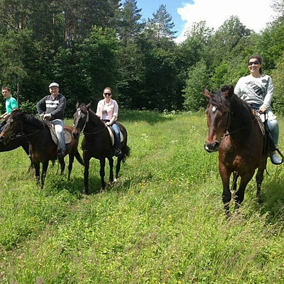 Конная прогулка в Набережных Челнах. Подарочные сертификаты Ultra Подарки. Купить оригинальный подарок или подарочный сертификат на Конная прогулка в Набережных Челнах. Сервис UltraPodarki.ru 8-800-505-9530. Катание на лошадях, Прогулка на лошади, Прогулка на лошадях для двоих, Конная прогулка, конный клуб, Конный клуб ВерхомТАТ, конная прогулка, конная прогулка в Набережных Челнах