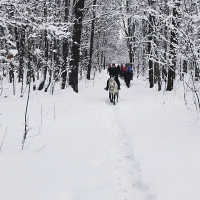 Конная прогулка в Набережных Челнах. Подарочные сертификаты Ultra Подарки. Купить оригинальный подарок или подарочный сертификат на Конная прогулка в Набережных Челнах. Сервис UltraPodarki.ru 8-800-505-9530. Катание на лошадях, Прогулка на лошади, Прогулка на лошадях для двоих, Конная прогулка, конный клуб, Конный клуб ВерхомТАТ, конная прогулка, конная прогулка в Набережных Челнах