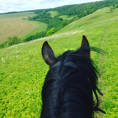 Конная прогулка для двоих в Набережных Челнах. Подарочные сертификаты Ultra Подарки. Купить оригинальный подарок или подарочный сертификат на Конная прогулка для двоих в Набережных Челнах. Сервис UltraPodarki.ru 8-800-505-9530. Катание на лошадях, Прогулка на лошади, Прогулка на лошадях для двоих, Конная прогулка для двоих, конный клуб, Конный клуб ВерхомТАТ, конная прогулка, конная прогулка в Набережных Челнах