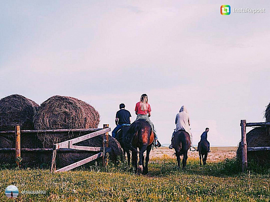 Конная прогулка в Набережных Челнах. Подарочные сертификаты Ultra Подарки. Купить оригинальный подарок или подарочный сертификат на Конная прогулка в Набережных Челнах. Сервис UltraPodarki.ru 8-800-505-9530. Катание на лошадях, Прогулка на лошади, Прогулка на лошадях для двоих, Конная прогулка, конный клуб, Конный клуб ВерхомТАТ, конная прогулка, конная прогулка в Набережных Челнах